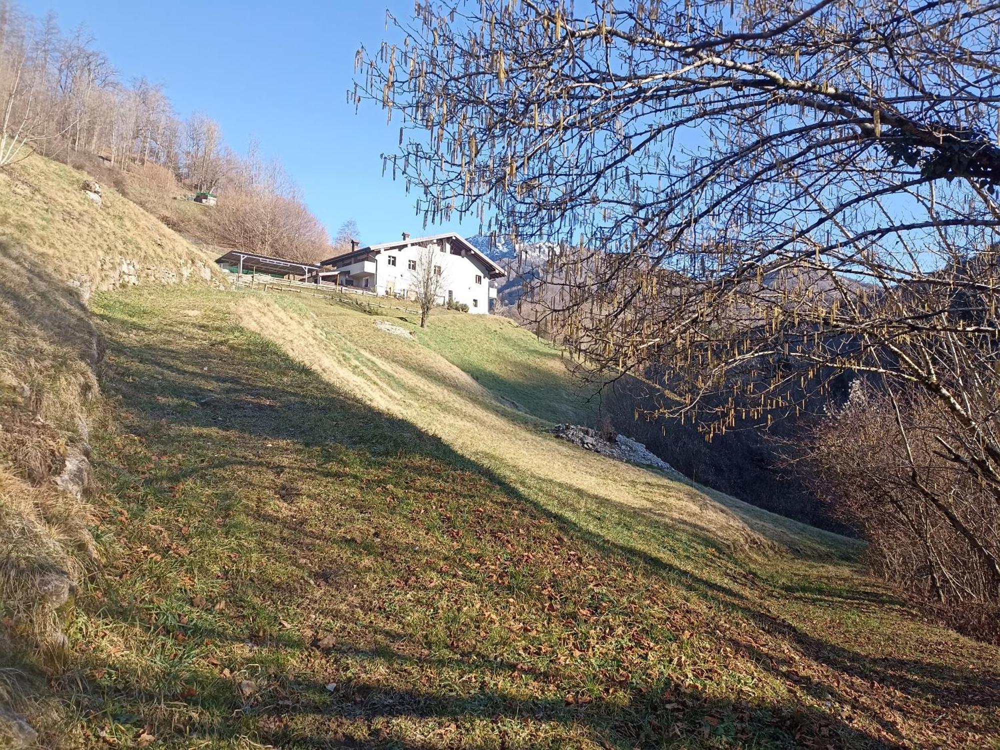 Agriturismo Cascina Cornella Cremeno Extérieur photo
