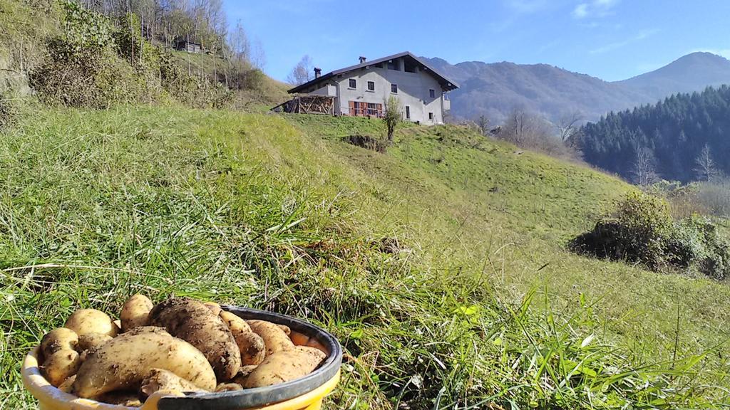 Agriturismo Cascina Cornella Cremeno Extérieur photo